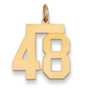 14K Yellow Gold Polished Finish Medium Size Number 48 Charm Pendant